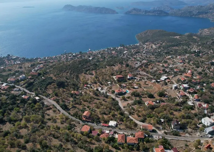 Massi Söğüt 1 fotoğrafı