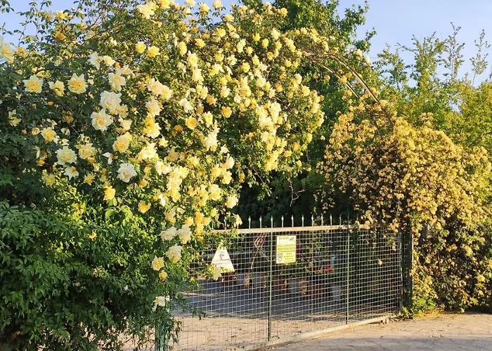 Portakal bahçesinde huzurlu küçük ev Villa Kargı foto