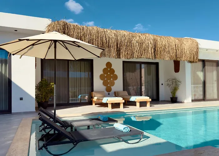 Villa Fülfül Adakoy fotoğrafı