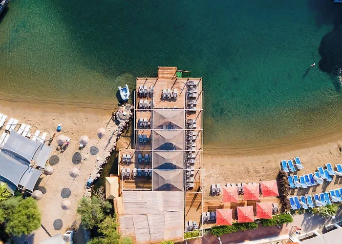 Фото Palm Hills Bodrum Hotel Гюндоган