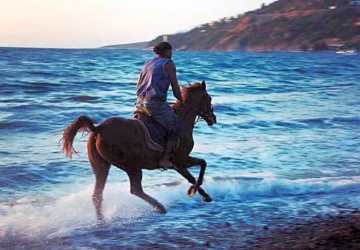 Equestrian And Beach Club Giris photo
