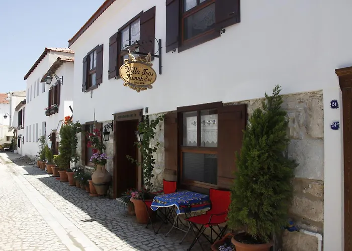 Sigacik Villa Teos Butik Otel photo